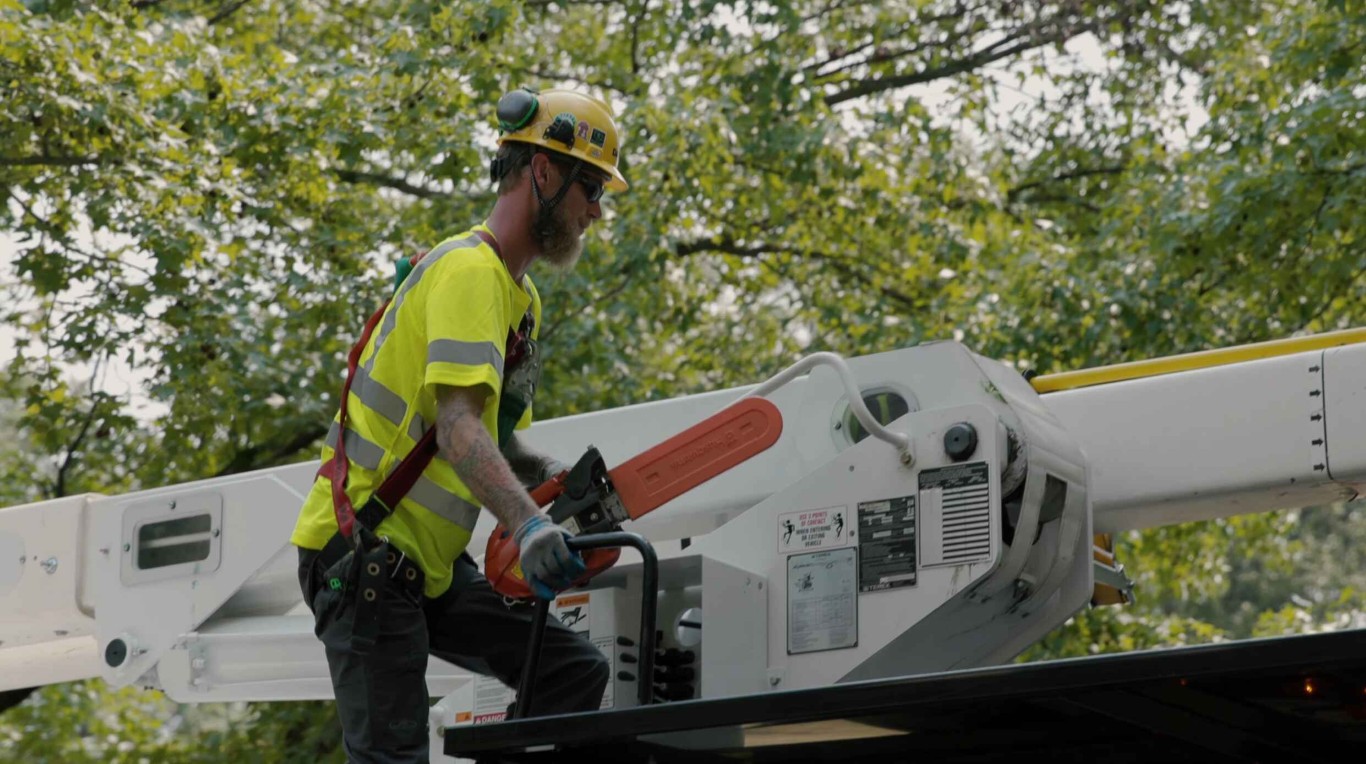 Shrub and hedge trimming service using bucket truck equipment