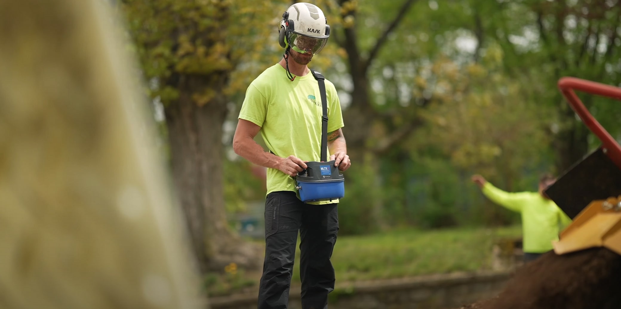 Expert arborist providing professional tree maintenance services in Lompoc, CA